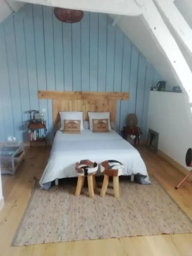 Standard Double Family room