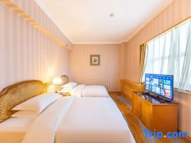 Standard Suite