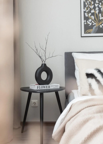 Фотография номера квартиры Две Подушки на улице Петина 25