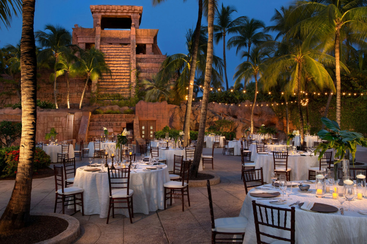 The Cove Atlantis photo 28