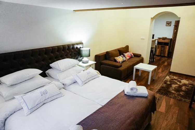 Deluxe Apartment