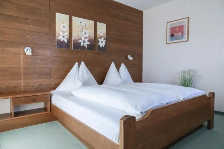 Standard Double room with balcony and with lake view