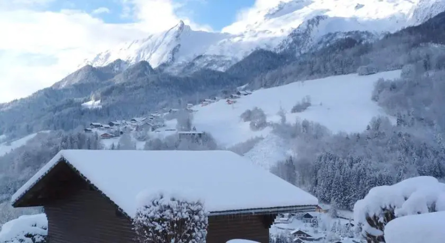 Chalets du Fraizier