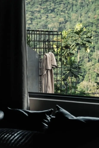 Deluxe Single room with mountain view