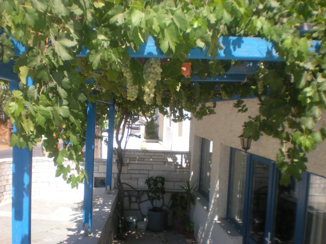Hotel Rea - Naxos, Greece