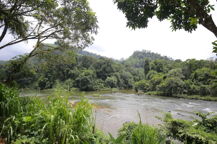 Kitulgala Rest House