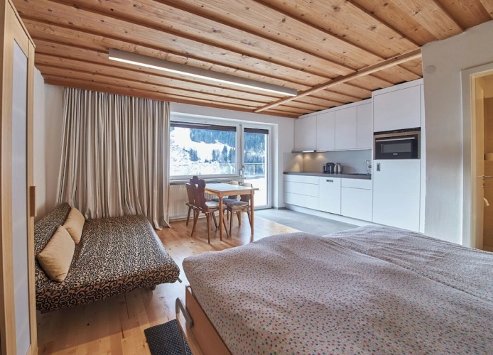 Comfort Double Studio with balcony and with mountain view