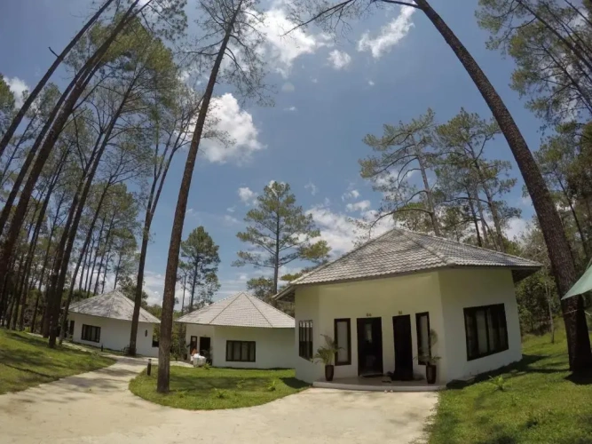 Deluxe Bungalow with balcony and with view