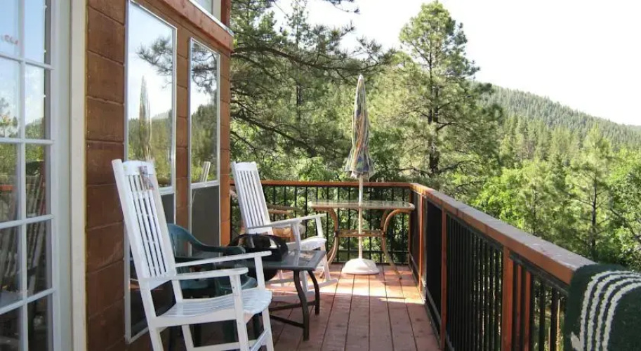 The Evergreen Oasis