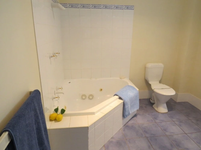 Luxury Apartment