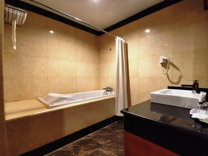 Business Double room with city view