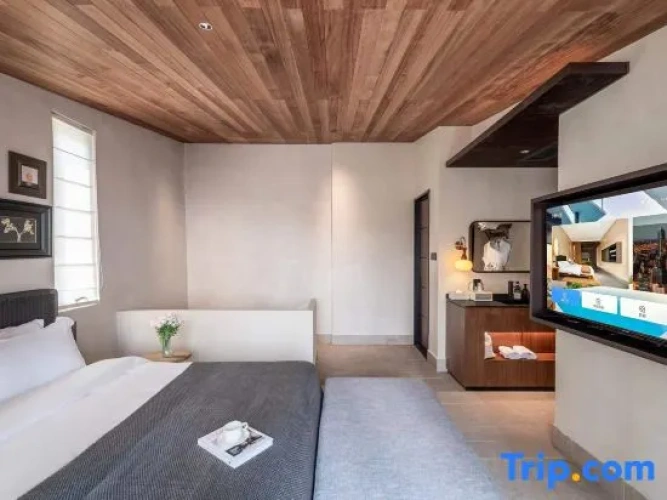 Executive Double Suite