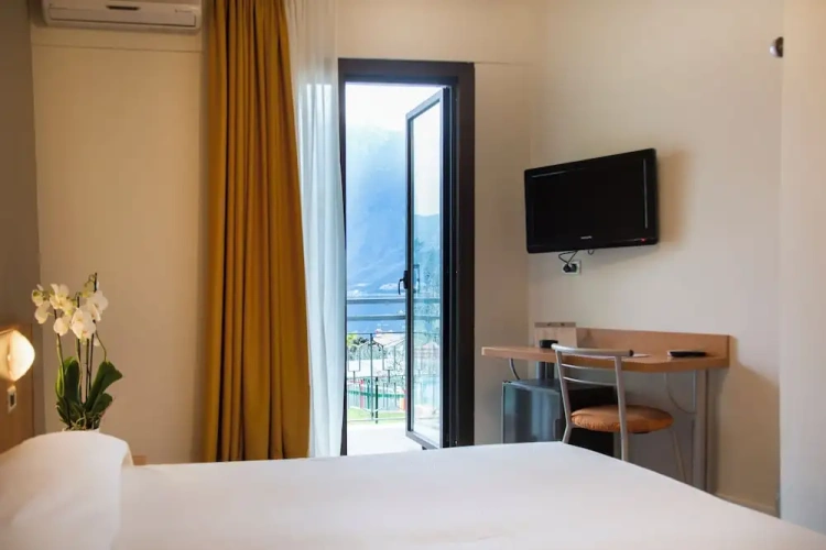 Standard Double room with balcony and with lake view