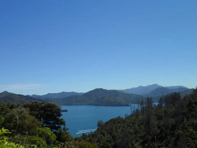 Sequoia Lodge & Backpackers