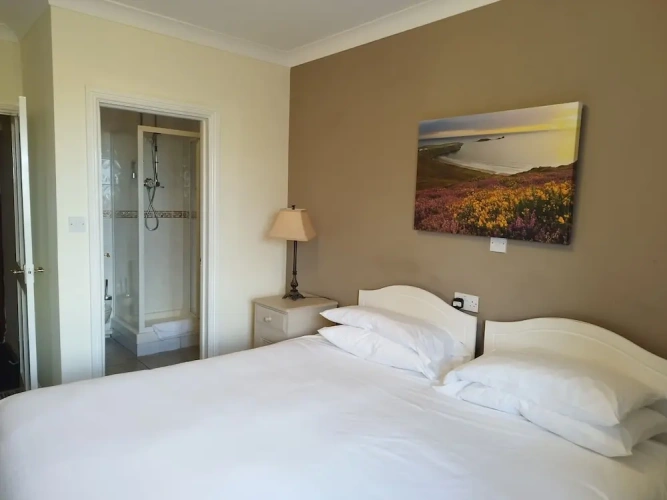 1 Bedroom Comfort Double room