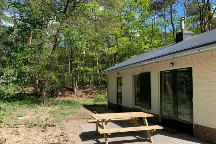 Tine Boshuisje Veluwe