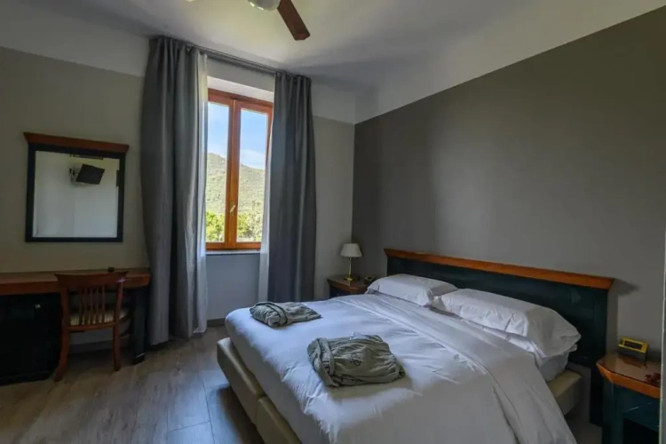 Standard Double room with lake view