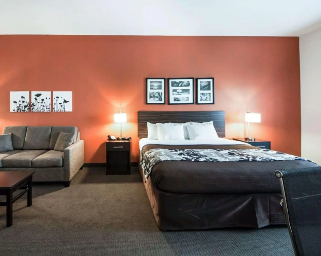 Standard Double room