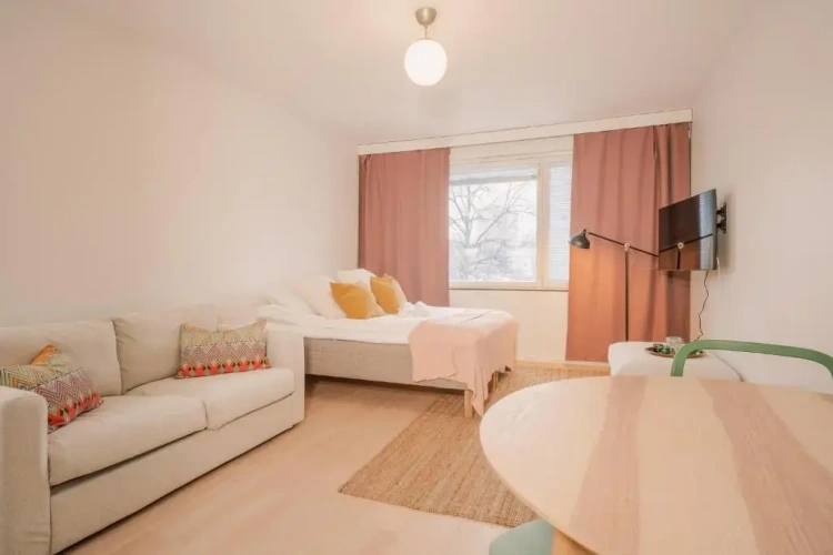 1 Bedroom Apartment