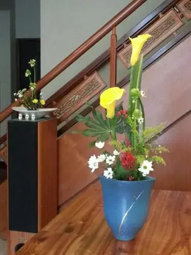 Shanhai B&B