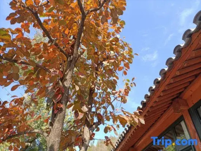 Beijing Fanshe Weizishui B&B