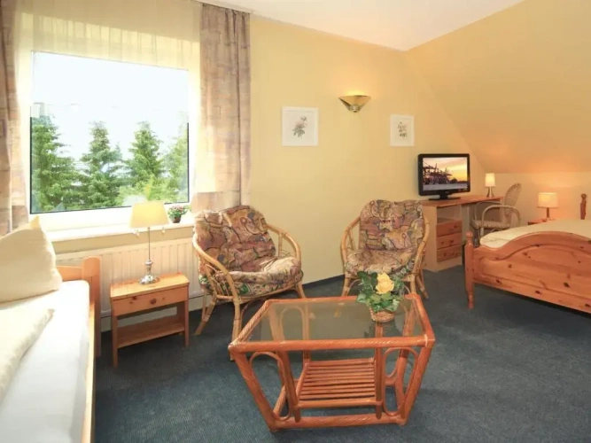 Standard Triple room