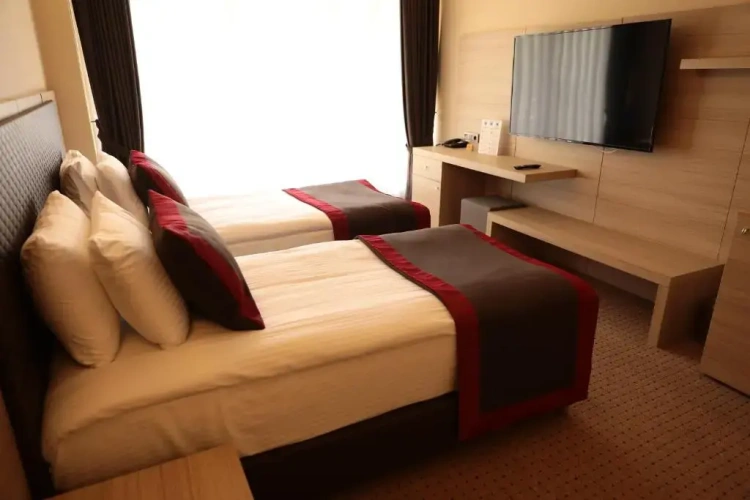 Deluxe Single room with garden view
