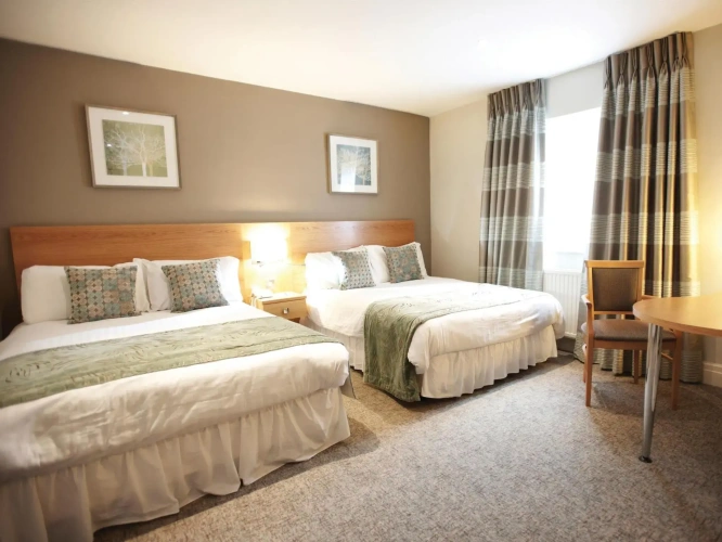 Standard Twin room