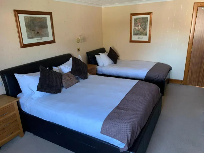 Pine Guest House