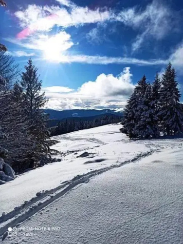 Au grand air