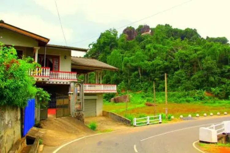 Village Stay