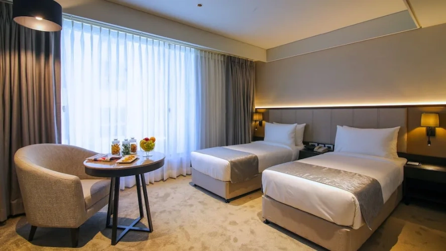 Deluxe Single room with city view