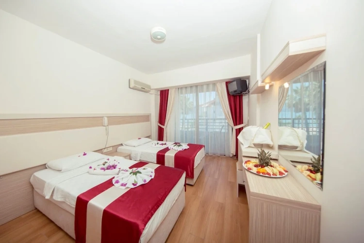Standard Double room with balcony and with mountain view