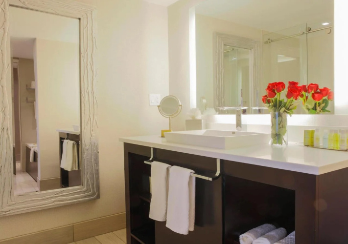 DoubleTree by Hilton Rochester