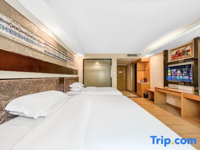 Standard Twin Family room