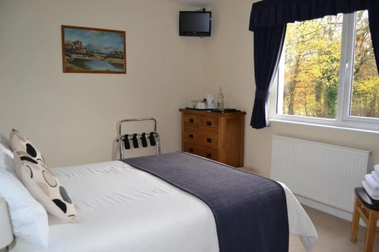Standard Double room with mountain view