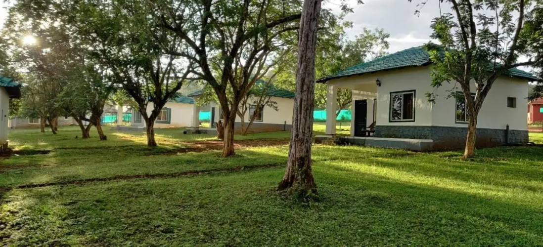 The Wild Fo'rest Resorts