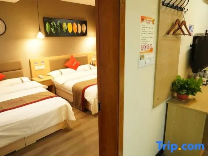 Triple Suite