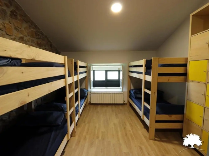 Bed in Dorm