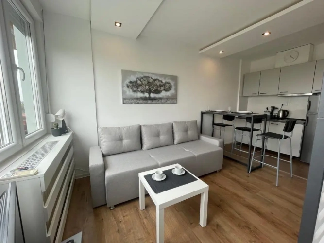 1 Bedroom Apartment