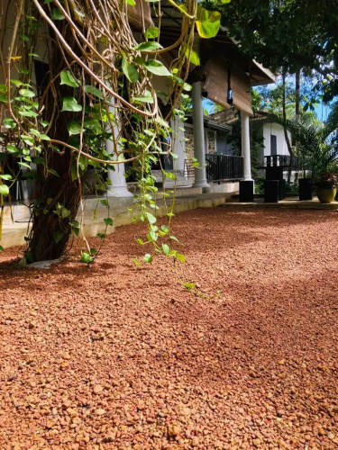 Wija House - Unawatuna