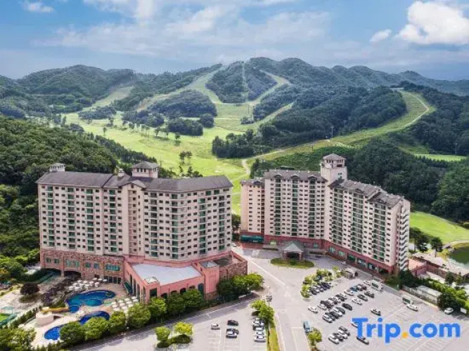 Oak Valley Resort Hills Village - Wonju