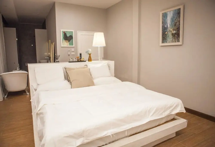 Standard Double room with balcony and with mountain view