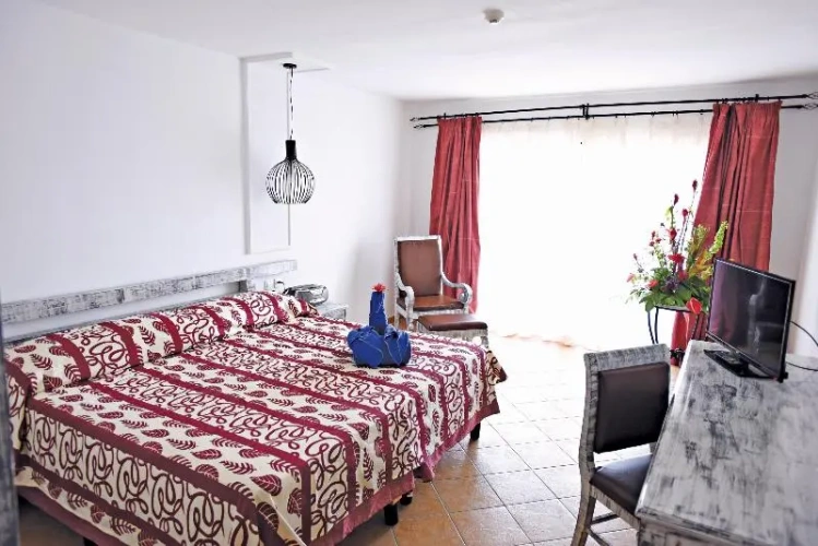 Standard Double Club room