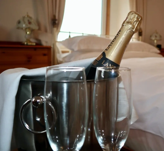 Standard Double room with garden view