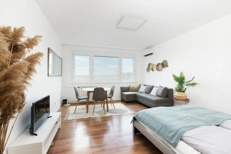1 Bedroom Apartment