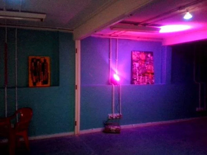 BananaZ Hostel