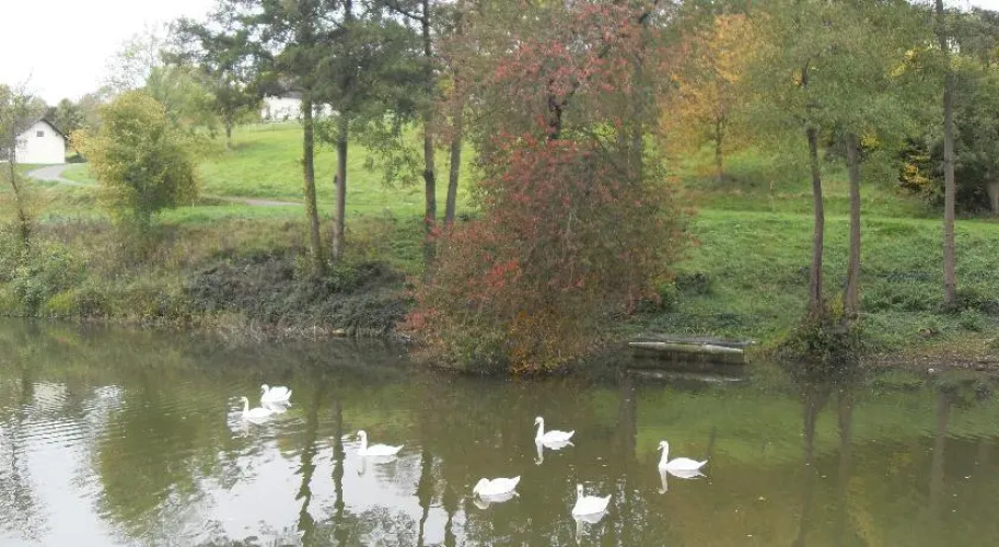 Domaine du Lac