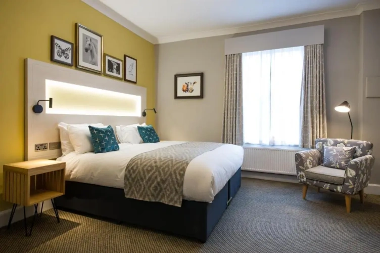 Standard Double room