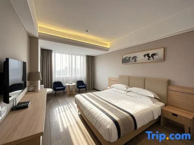 Standard Double room with city view